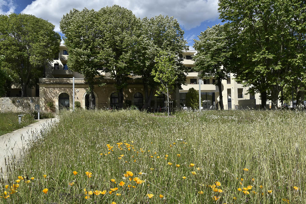 L'Orangerie du Château Levât dans le cœur des beaux arts à Montpellier accueille des seniors autonomes
