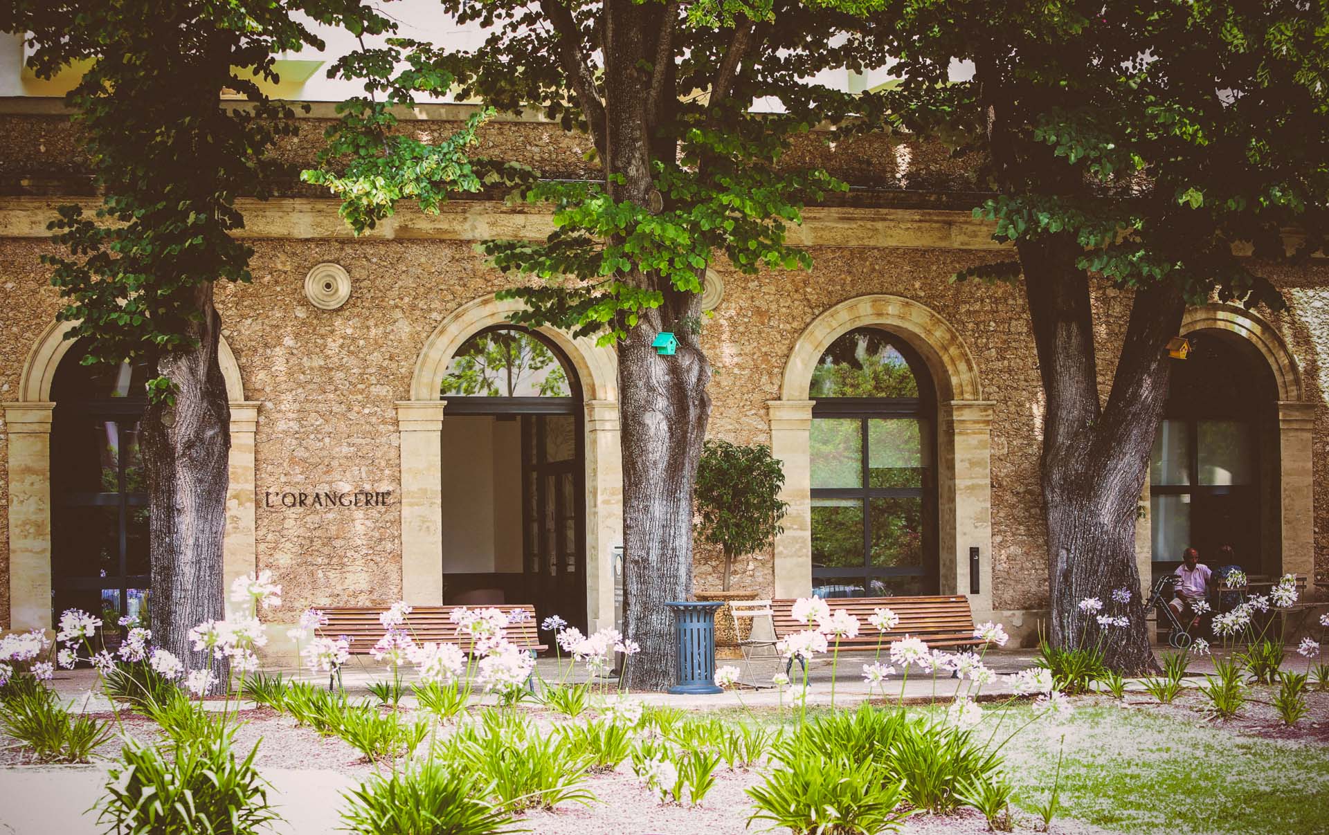 L'Orangerie du Château Levât est une résidence seniors Occitalia située dans le quartier des beaux arts à Montpellier