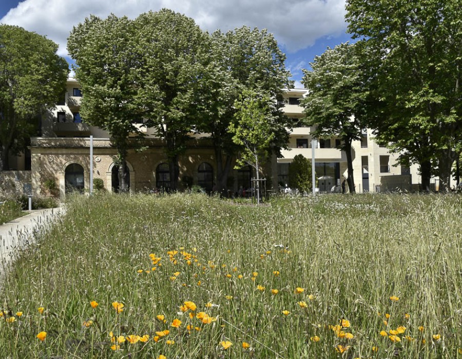 L'Orangerie du Château Levat - Résidence Seniors Montpellier